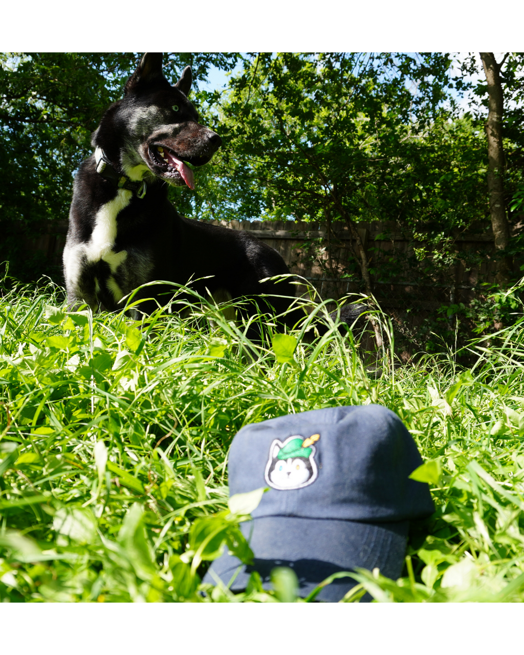 The Official Boof Lofi Dad Hat | Embroidered Bard Dog Mascot Cap
