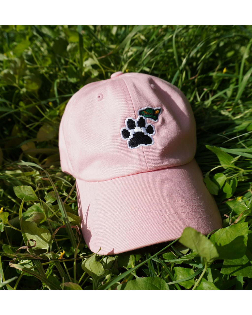 VGM Checkpoint "Traveler’s Seal" Hat | Boof Embroidered Paw Cap
